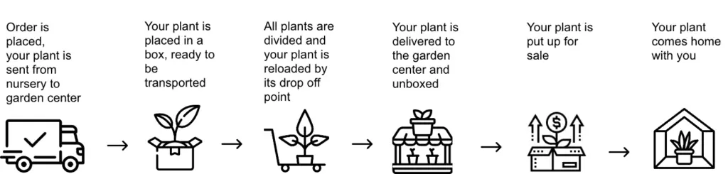 Can plants stay in plastic pots? A houseplant journey. Representative scheme.