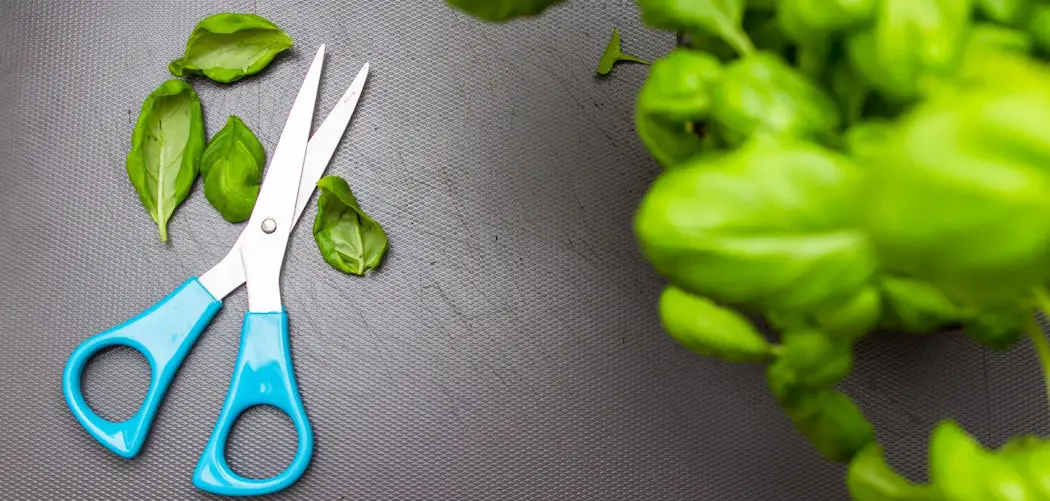 Do Plants Feel Pain When Cut? cut leaves near blue scissors