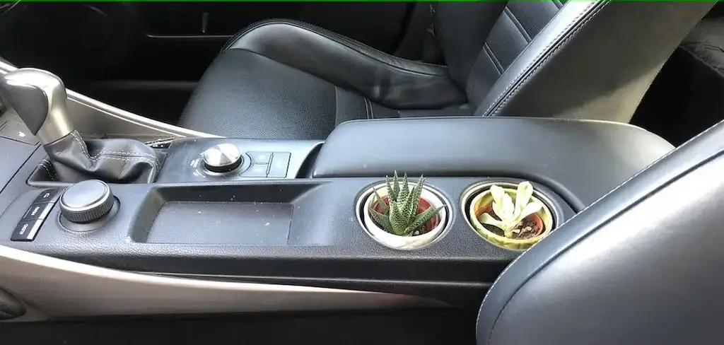 Можете ли да оставите растение в кола за една нощ