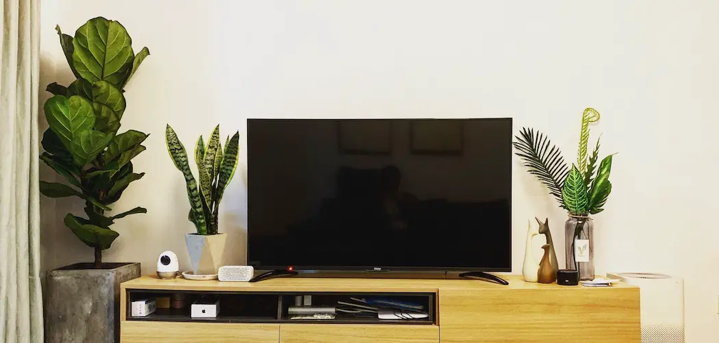 Do TVs affect plants? plants sitting near tvs