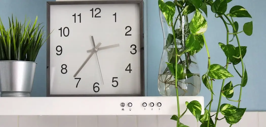 10-longest-living-indoor-plants
