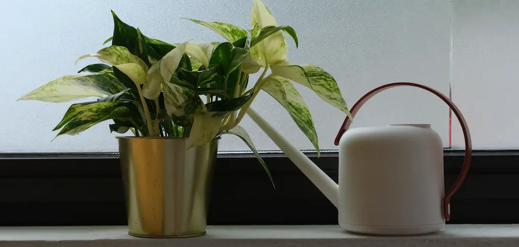 Do houseplants like acidic water? houseplant in golden pot with white kettle