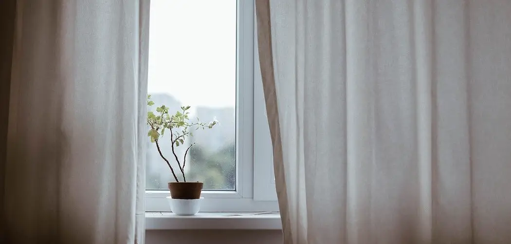 Do plants need to be by the window? houseplant in a window with curtains